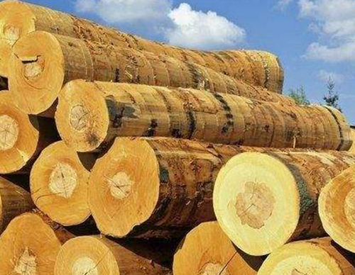 名贵木材进口报关案例